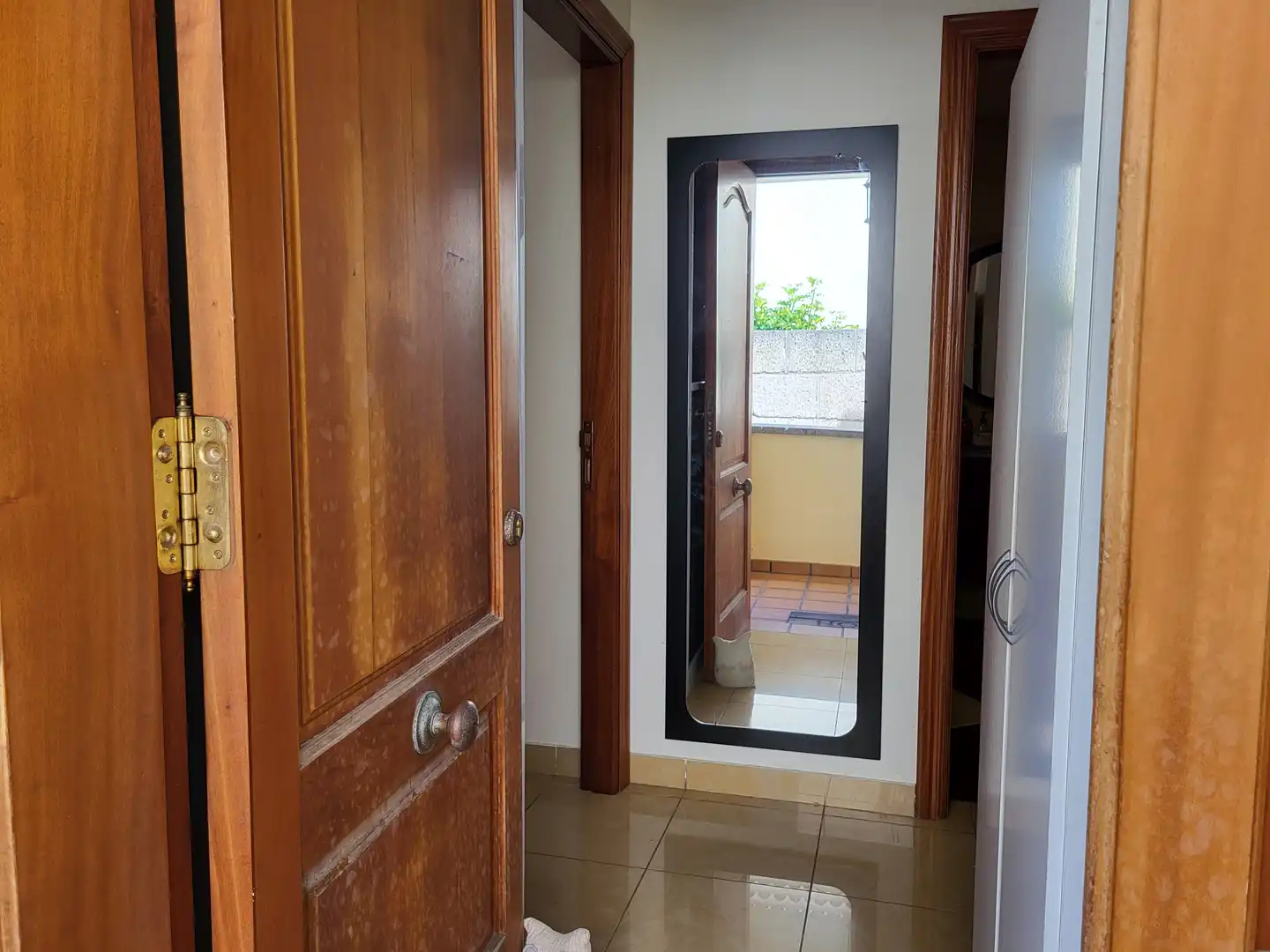 House with terrace for sale in Zona Botánico, imagen 7