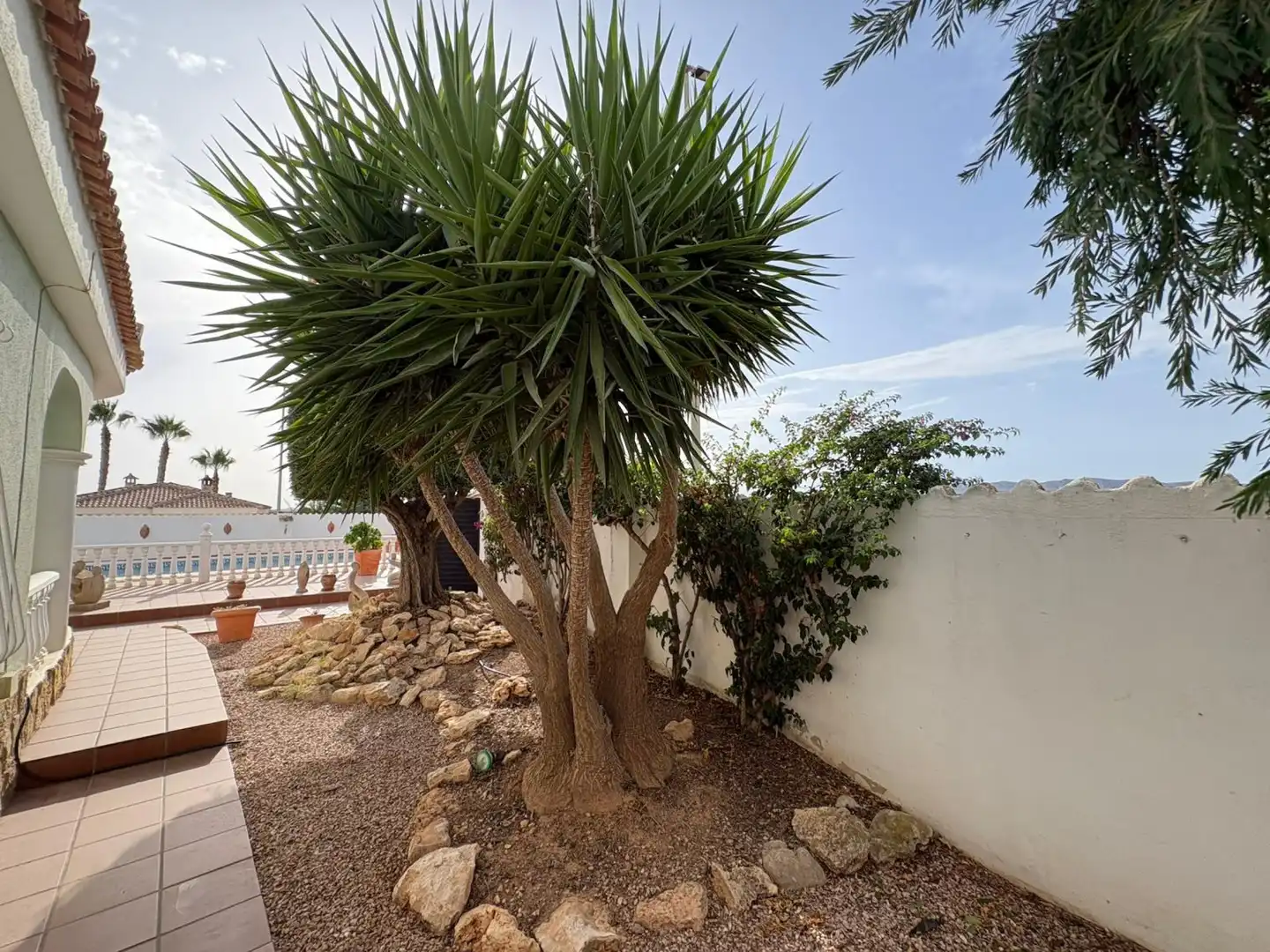 Jardín de Casa o chalet en venta en Murcia con Jardín privado, Terraza y Trastero