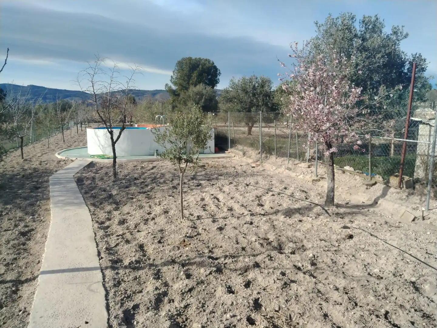 Terreny rústic en venda a Partida de Castalla a Saix, imagen 7