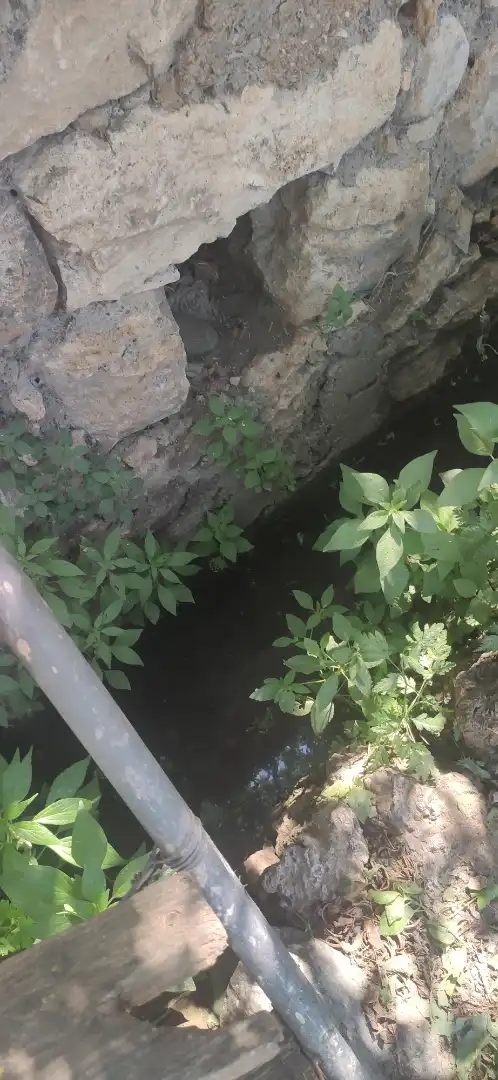 Garten von Grundstücke zur Miete in Vélez de Benaudalla
