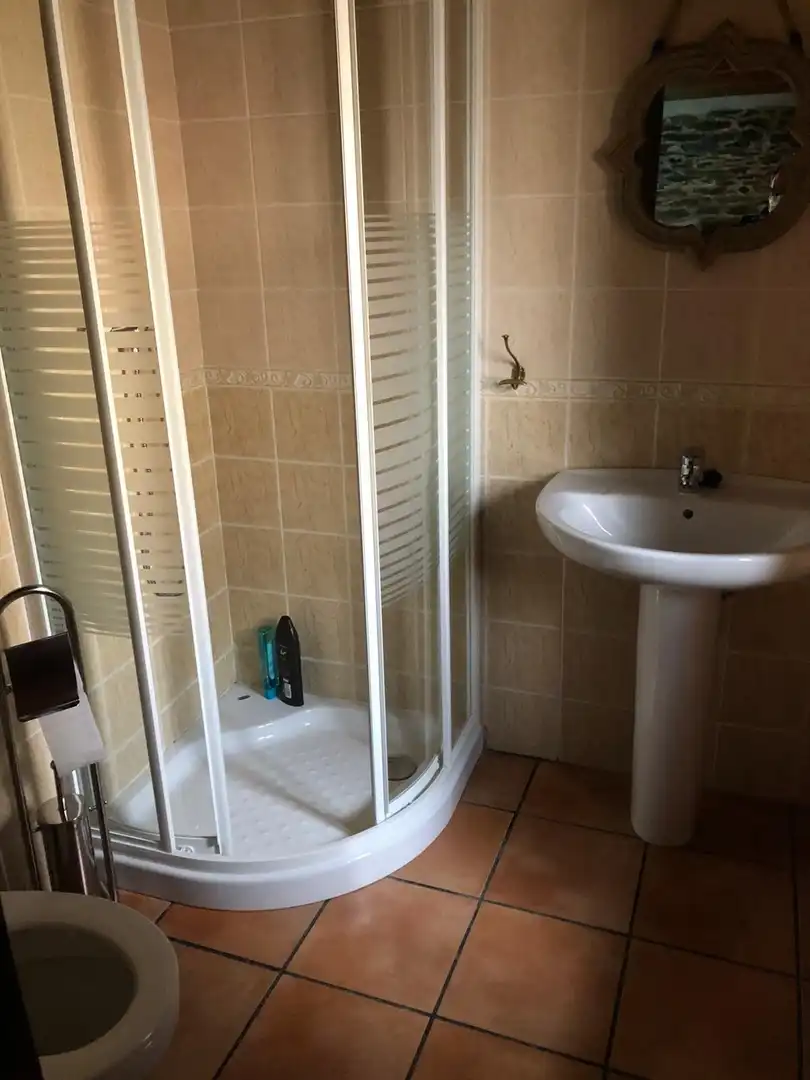Bathroom of Houses for sale in Cubillos del Sil  with Terrace and Furnished
