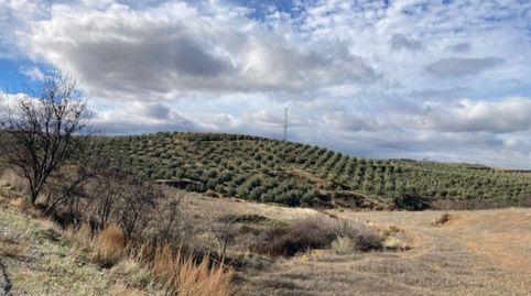 Foto 3 von Grundstücke zur Miete in Camino de la Dehesa, Dílar, Granada