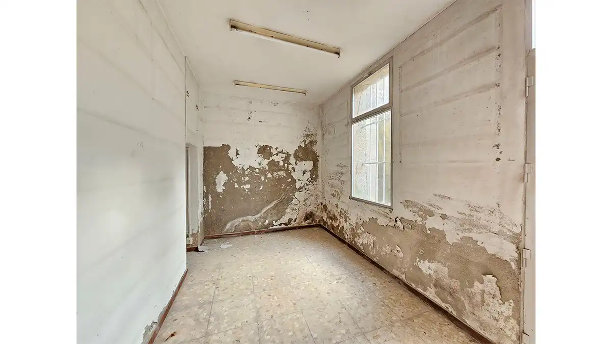 Commercial properties for sale in DE VIGO A OURENSE (BARRIO BARBANTES), 35, Cenlle
