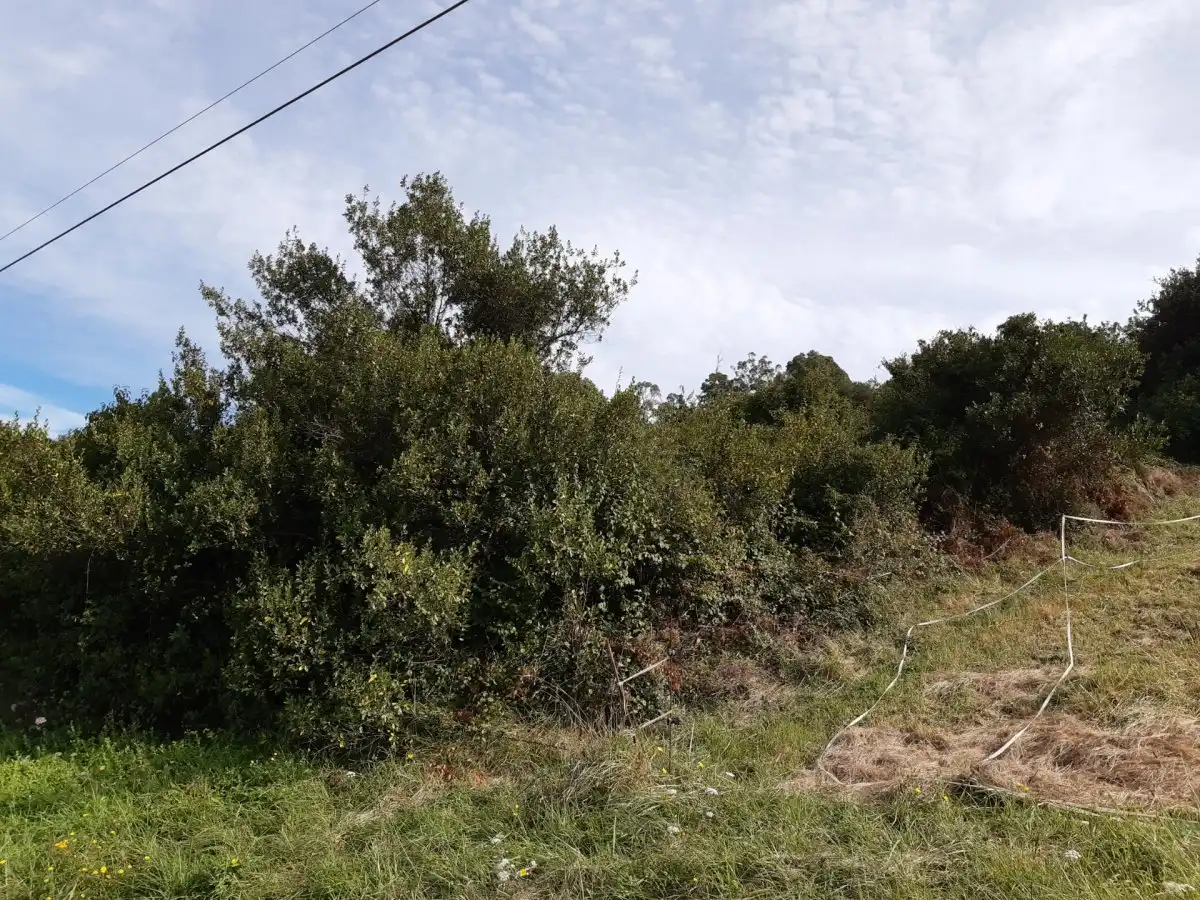 Terreno en venta en Urduliz
