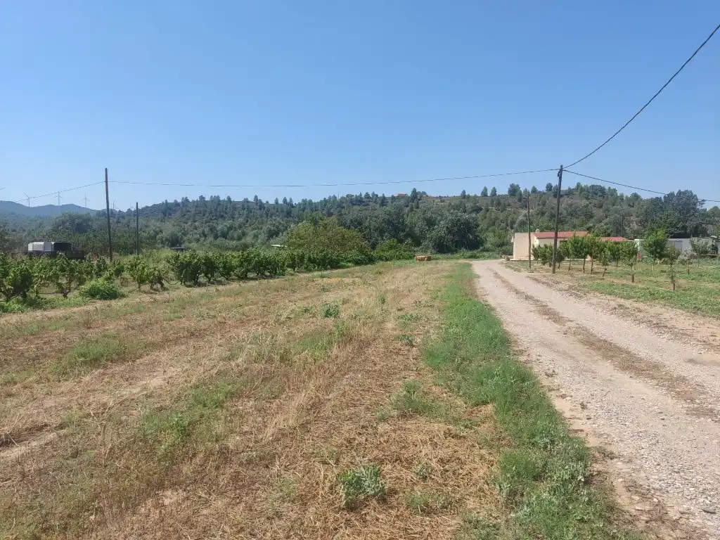 Rural land for sale in Ascó, imagen 8
