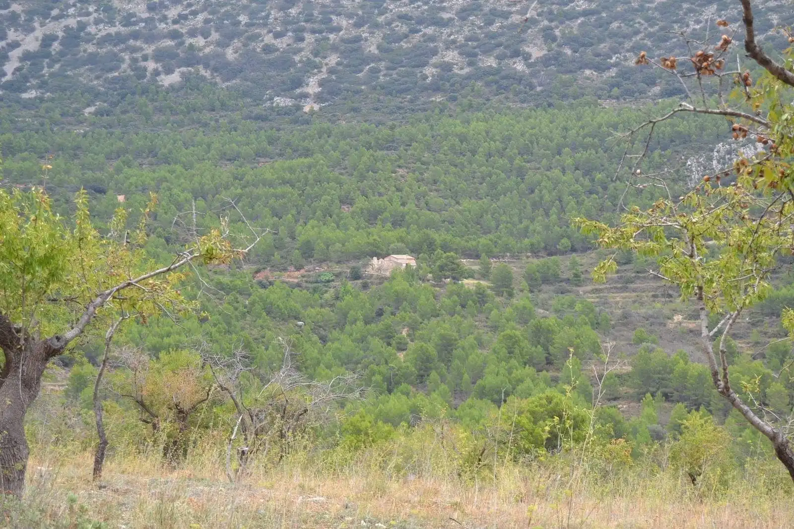 Finca rústica en venda en Sella