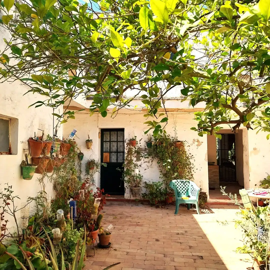 Jardín de Casa o chalet en venta en Carmona