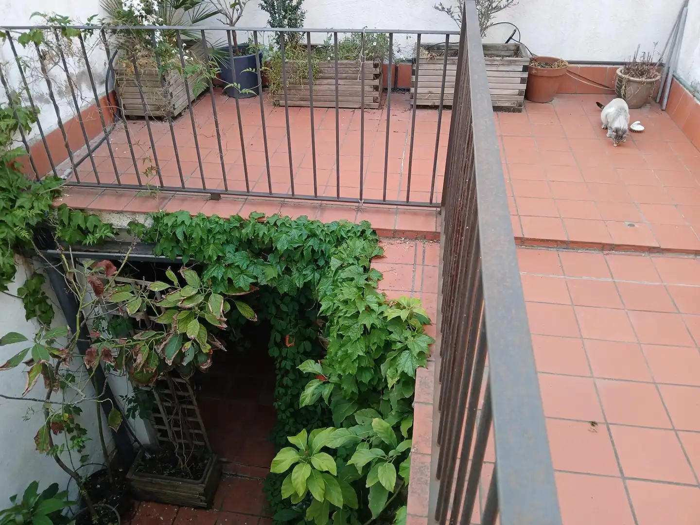 Maison mitoyenne à vendre à Centre - Sant Oleguer, imagen 24