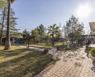 Jardí de Casa o xalet en venda en Olocau amb Aire condicionat, Jardí privat i Piscina
