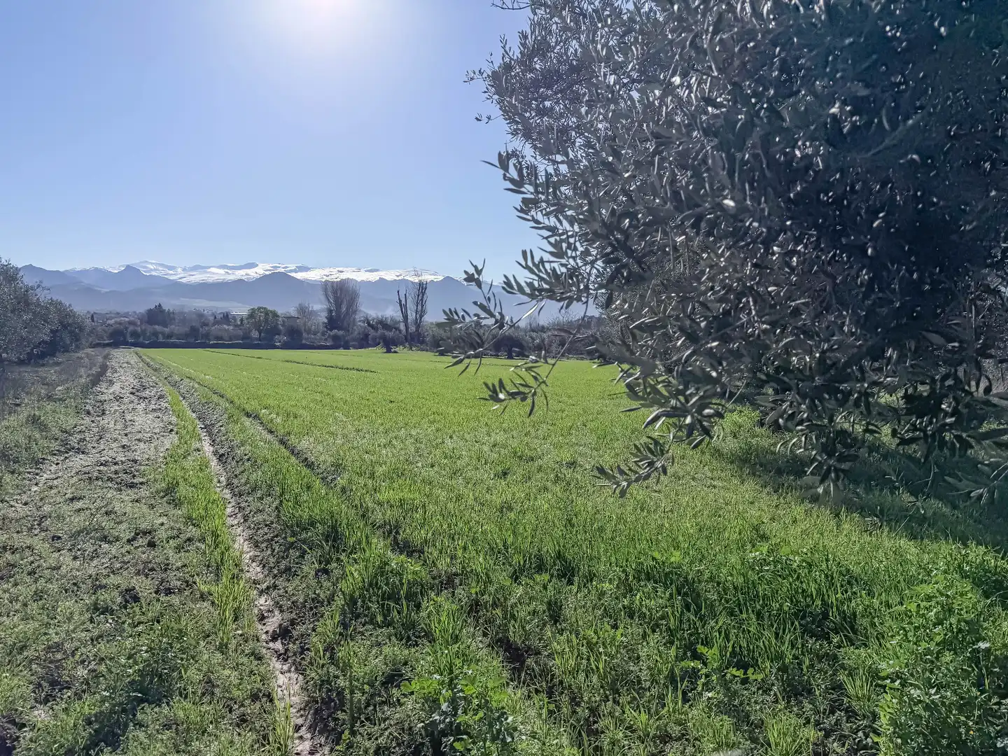Terreni e lotti in vendita a Camino del Cerro 189, imagen 11