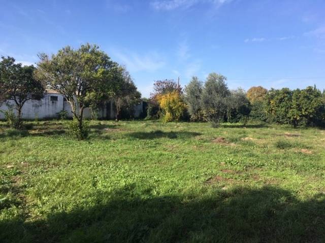 Terreno residencial en Venta en El Higuerón
