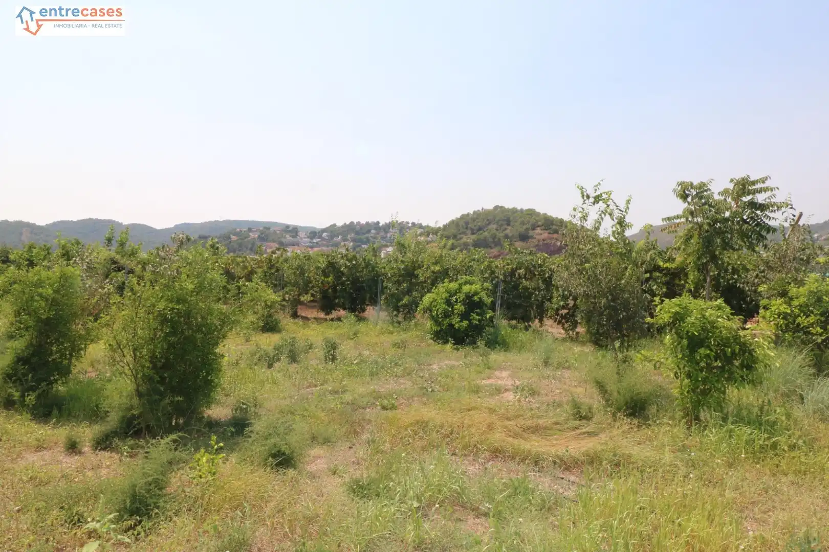 Rural land for sale in Gilet, imagen 3