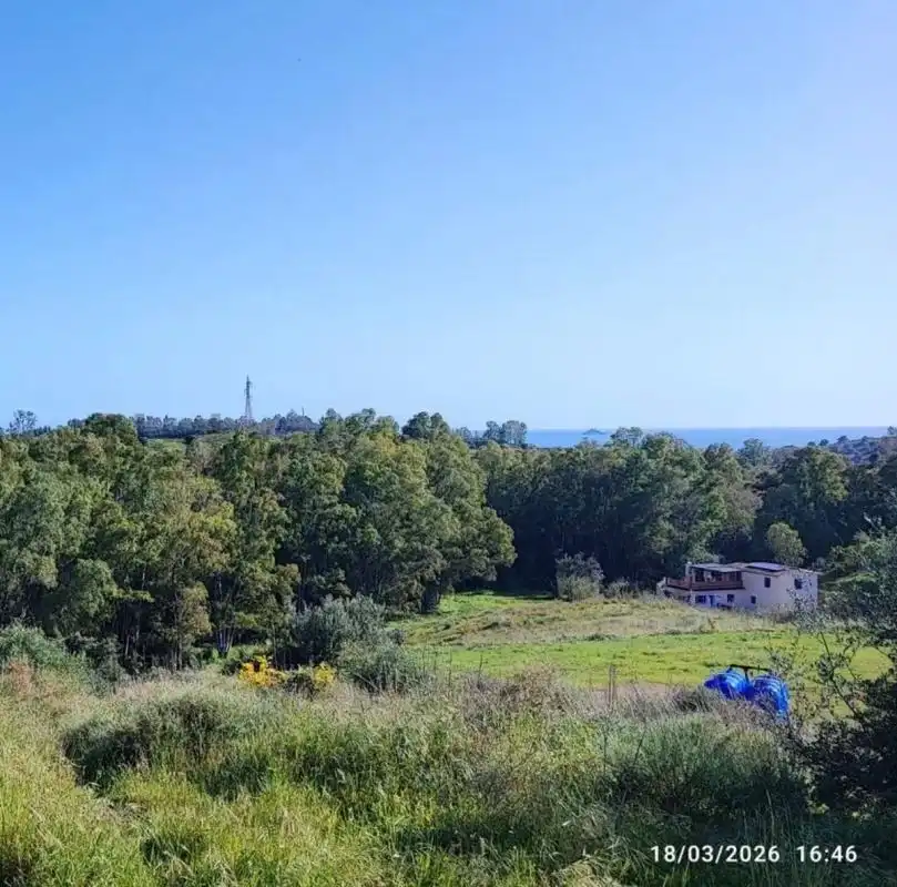 Terrain rustique à vendre à Diseminado la Rosa, imagen 2