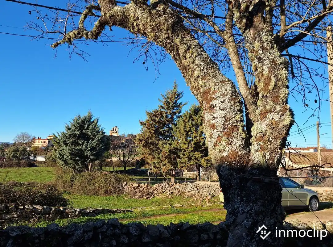 Jardín de Finca rústica en venta en Membribe de la Sierra con Trastero