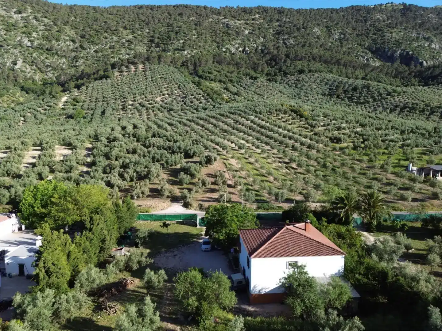 Jardí de Finca rústica en venda en Rute amb Balcó