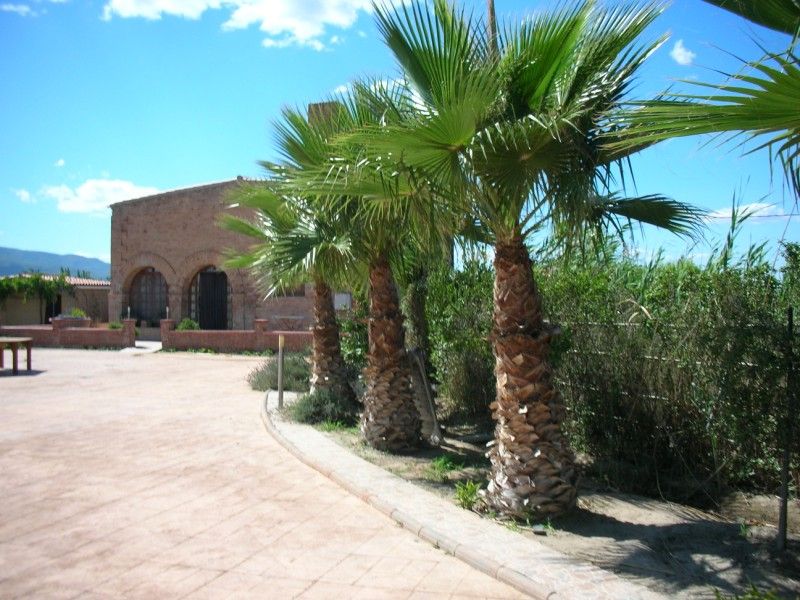 Vista exterior de Finca rústica en venda en Sant Carles de la Ràpita amb Jardí privat, Piscina i Alarma
