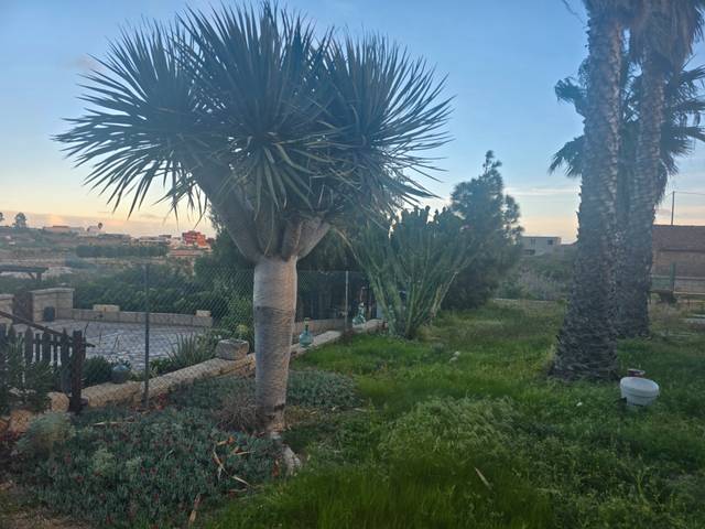 Casa-chalet en Venta en El Salto