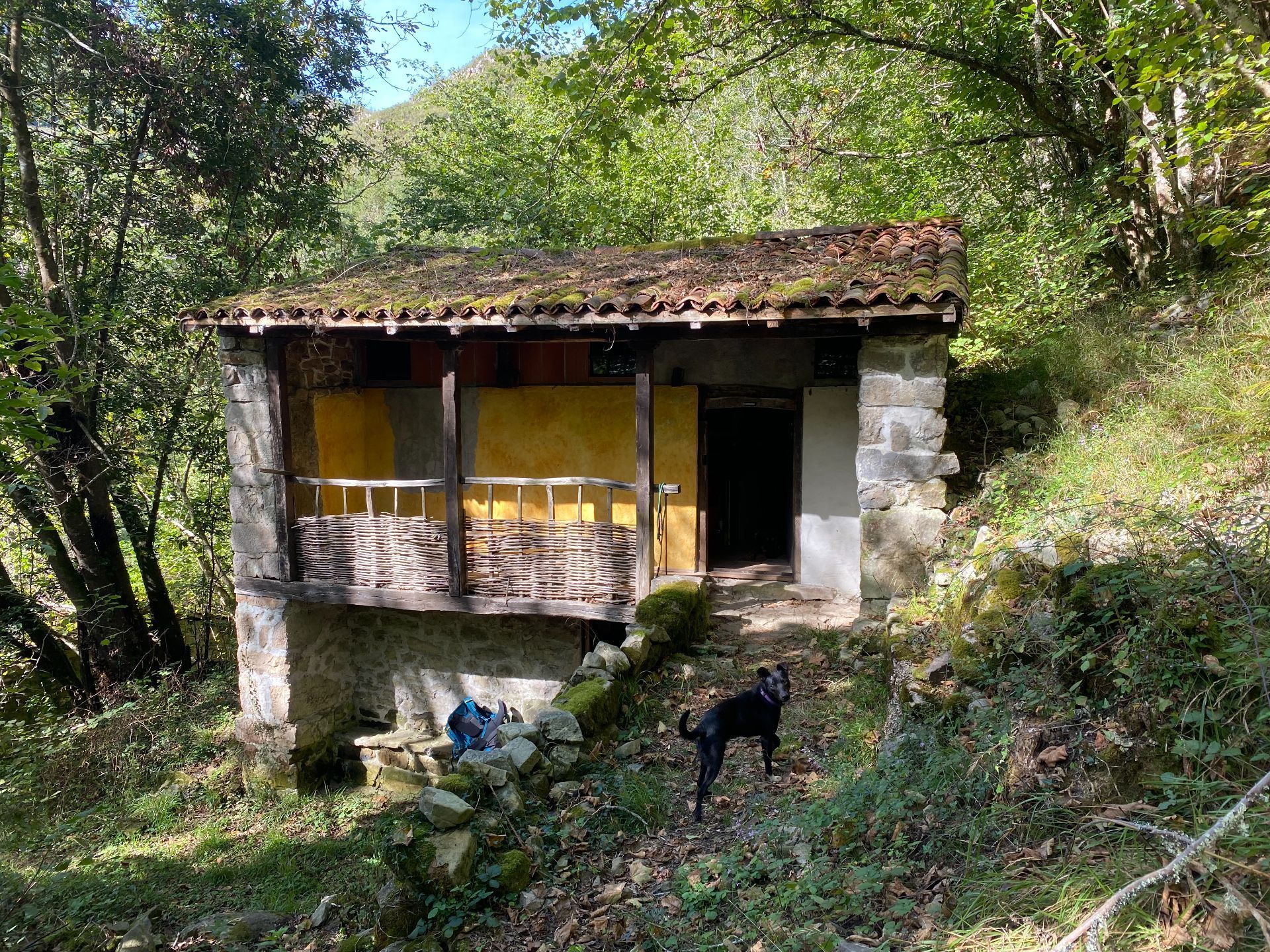 Exterior view of House or chalet for sale in Cangas de Onís