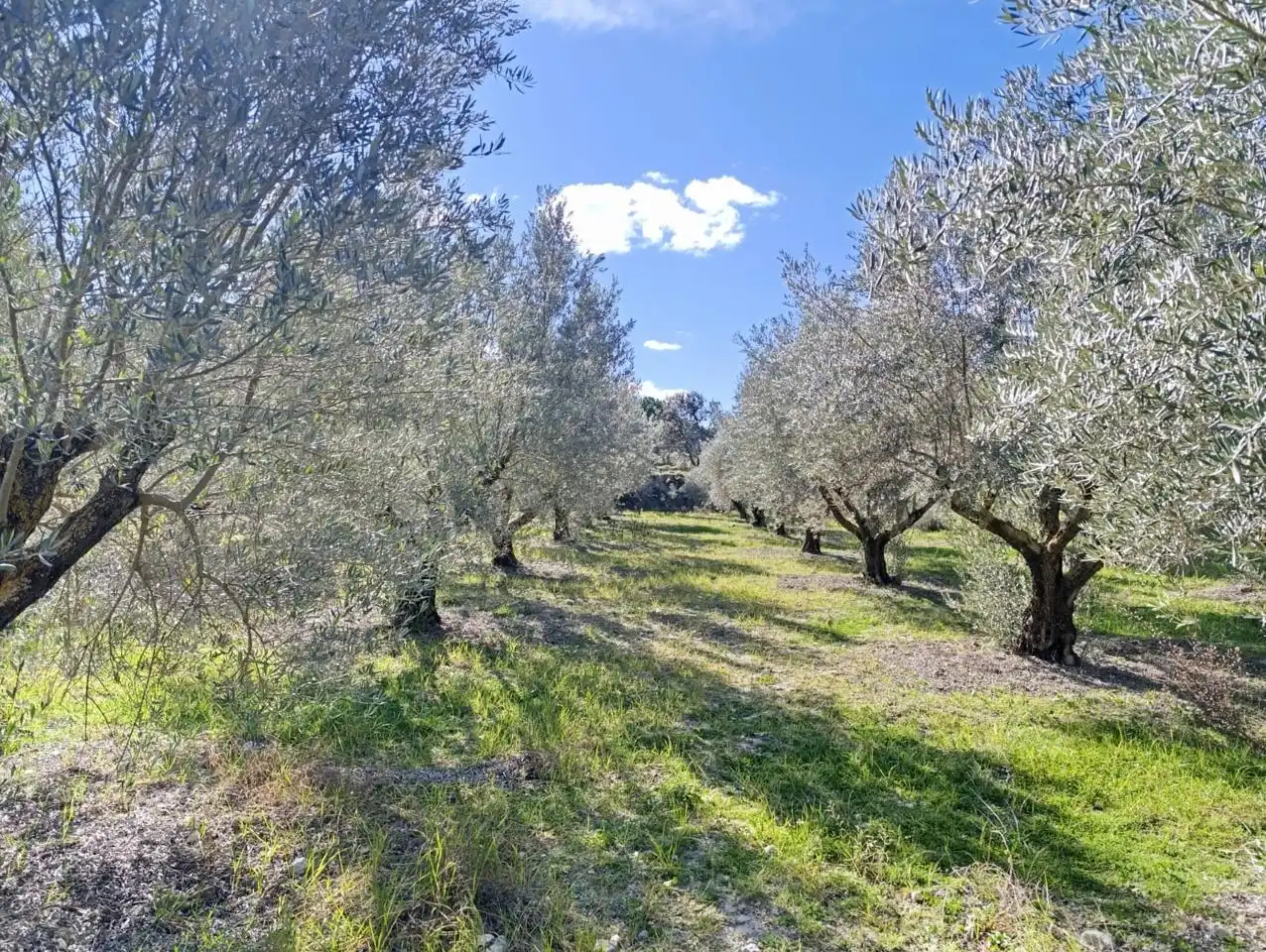 Country house for sale in Batoi, imagen 11