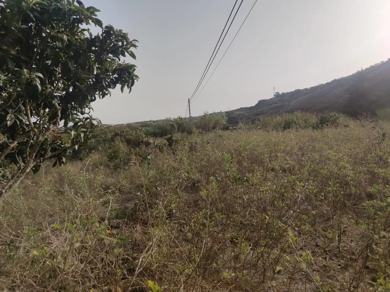 Casa rústica en venda a Los Castaños, imagen 13