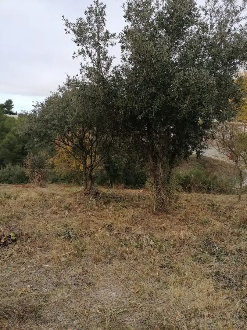 Grundstücke und Bauplätze zum Verkauf in Piera, imagen 3