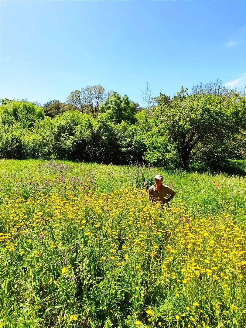 Jardí de Casa o xalet en venda en Los Marines amb Jardí privat, Terrassa i Traster