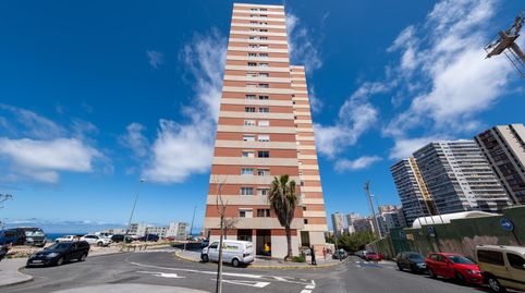Foto 3 de Piso de alquiler en Luis Benítez Inglott, La Minilla, Las Palmas de Gran Canaria