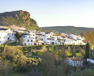 Vista exterior de Casa adosada en venda en Cuevas del Becerro amb Terrassa, Balcó i Internet