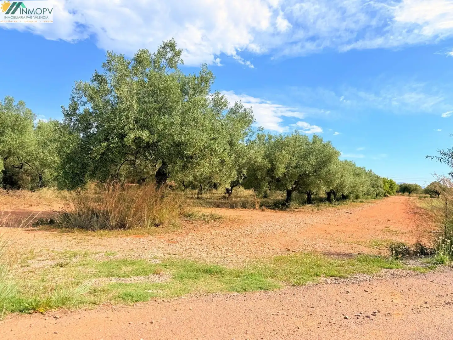 Terreny rústic en venda a Las Atalayas - Urmi - Cerro de Mar, imagen 5