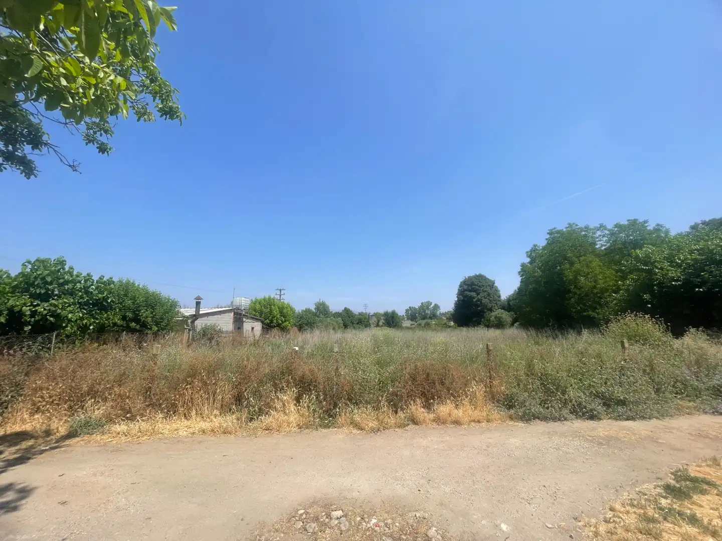 Rural land for sale in Balaguer, imagen 2