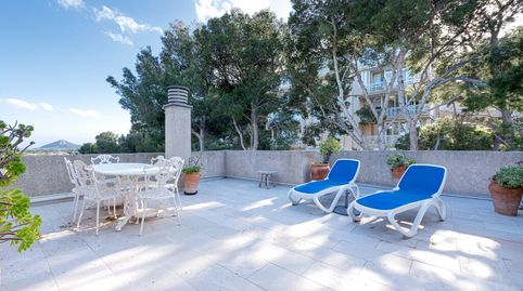 Foto 4 de Dúplex en venta en Port de Pollença, Pollença