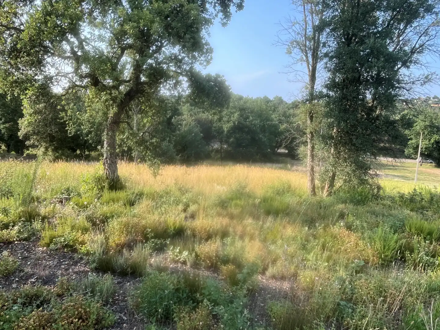 Terrain résidentiel à vendre à Carrer del Baix Penedès 221, imagen 5
