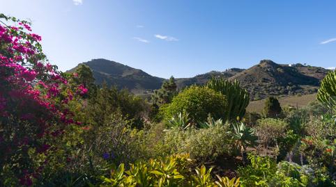 Foto 5 de Casa o xalet en venda a Calle Cuesta Los Espinos, 15, Tafira, Las Palmas de Gran Canaria