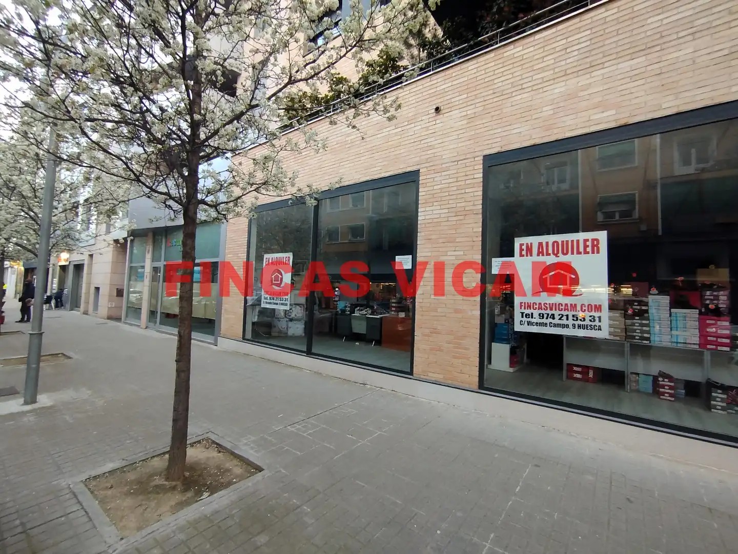 Local comercial de lloguer a Avenida Monreal 9