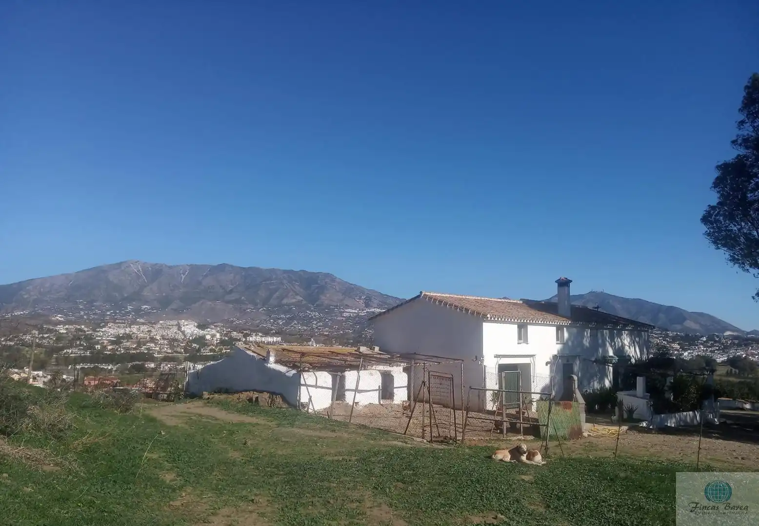 Vista exterior de Finca rústica en venda en Mijas