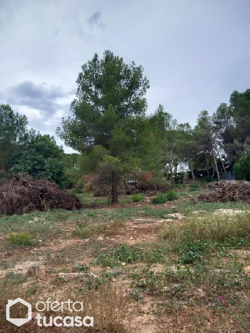 Pis en venda en Alberic amb Jardí privat i Terrassa