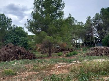 Piso con jardín en venta en Alberic