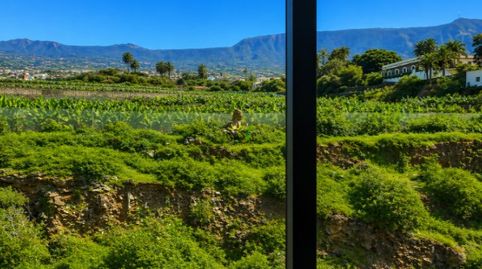 Foto 5 de Piso en venta en Longuera - Toscal, Los Realejos