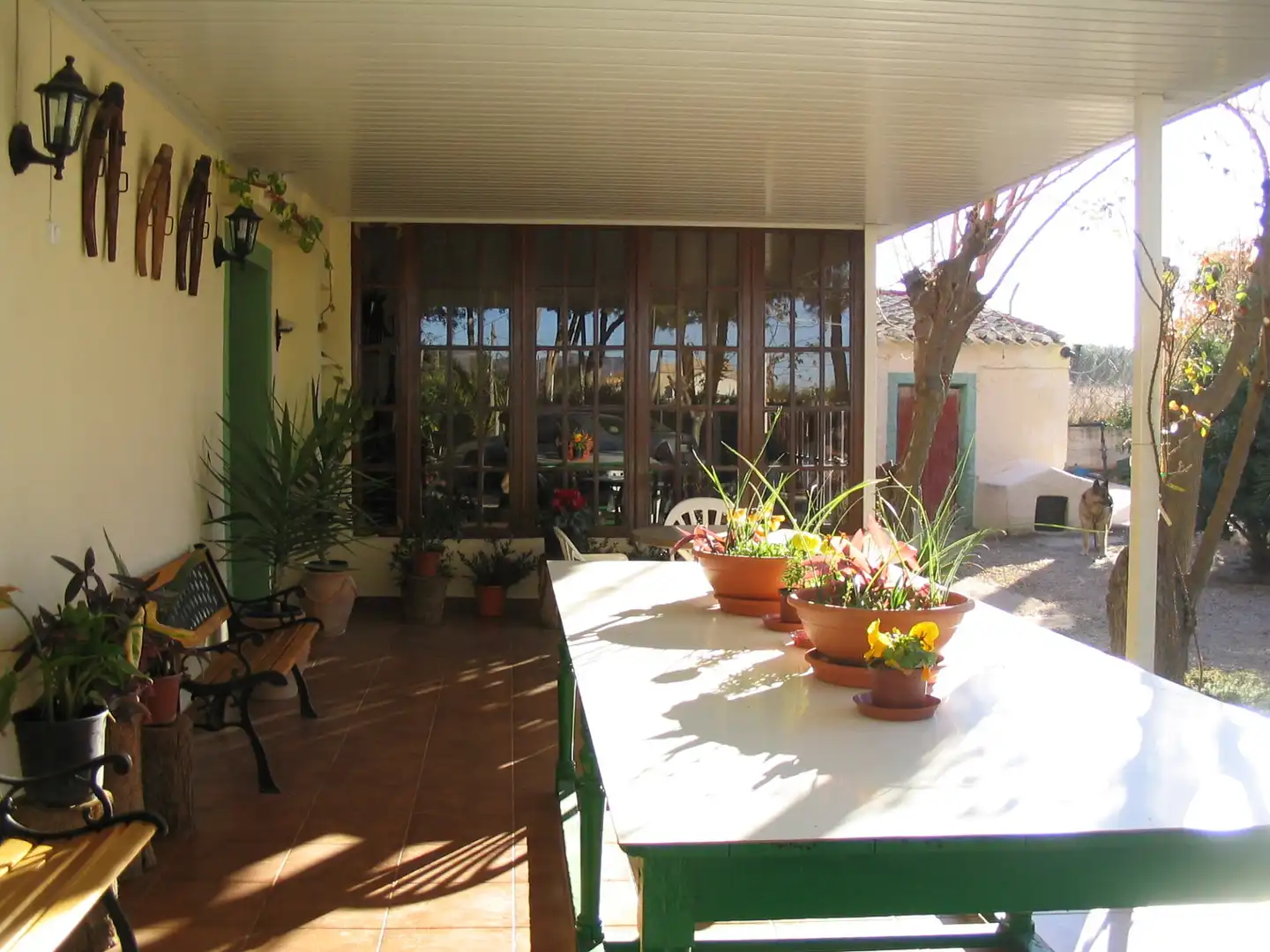 Casa rústica amb jardí en venda a Hellín, imagen 3