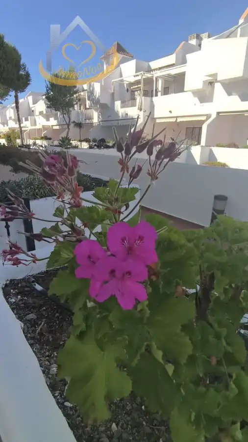 Jardín de Apartamento en venta en Islantilla con Aire acondicionado, Terraza y Trastero
