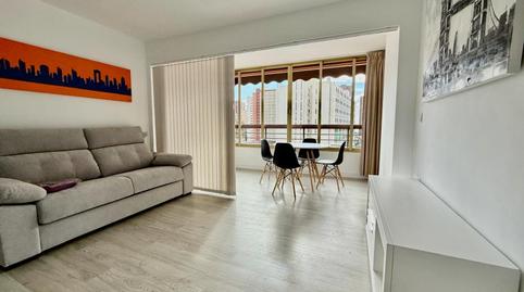 Photo 2 of Study for sale in Avenida Juan Fuster Zaragoza, Rincón Bajo, Alicante