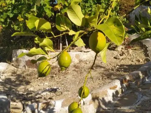 Jardín de Terreno en venta en Villanueva de la Concepción