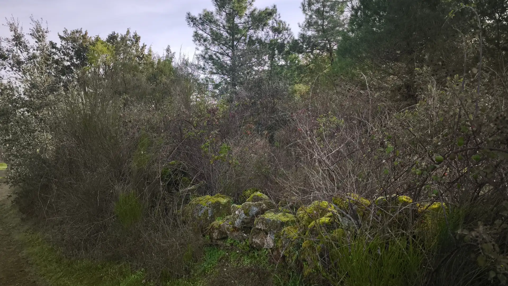Terreni e lotti in vendita a Santa María del Tiétar, imagen 8