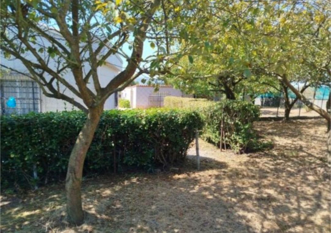 Casa o xalet en venda en Arteixo amb Jardí privat