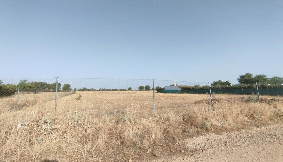 Foto 1 de Terreno en venta en Cm-3109, Alhambra, Ciudad Real