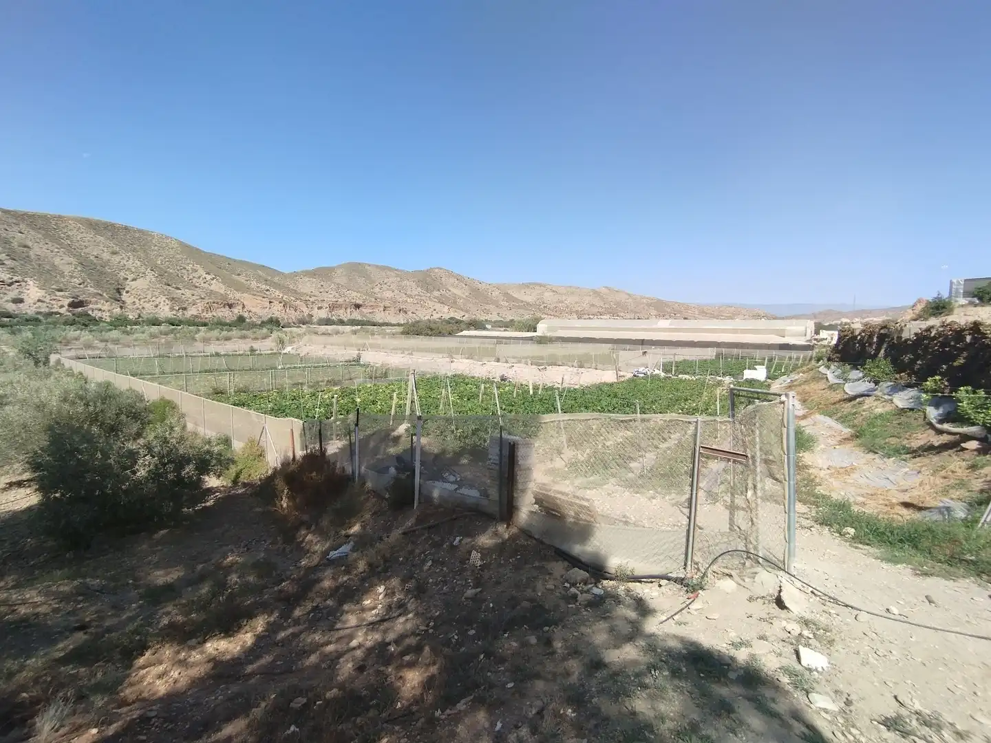 Terreno rustico in vendita a Santa Fe de Mondújar, imagen 2