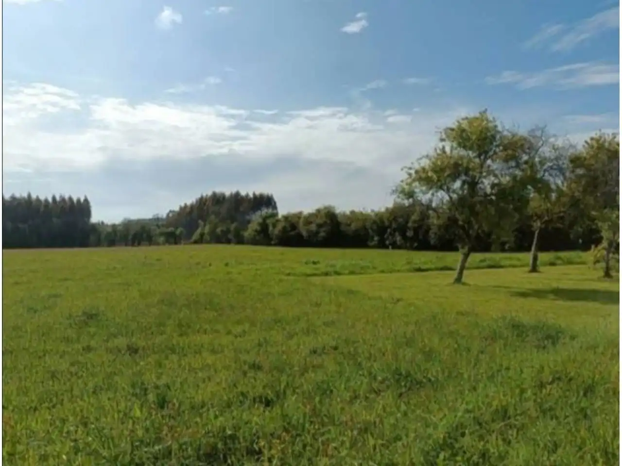 Residential land for sale in Calle Ril Arriba, imagen 4