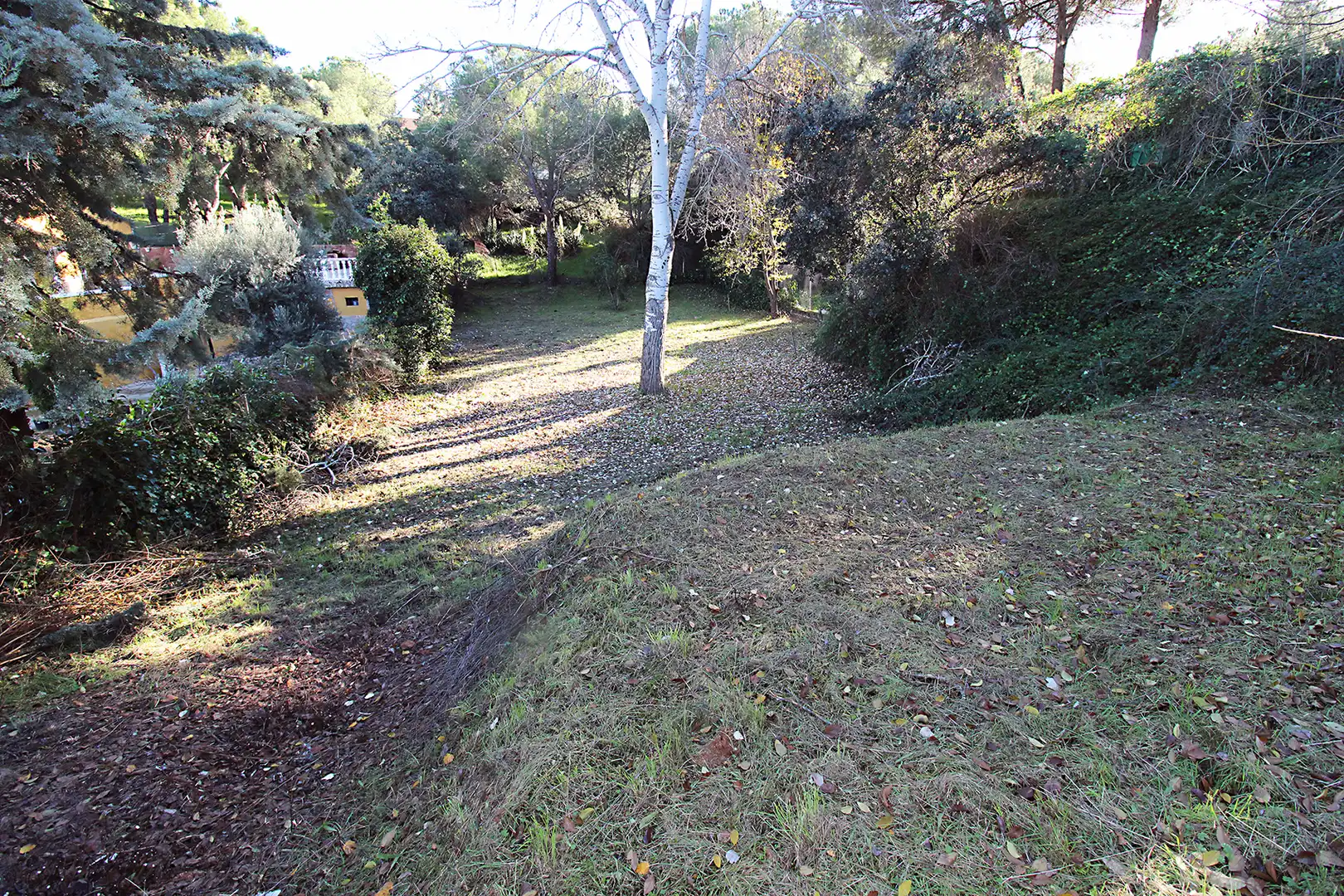 Terrain résidentiel à vendre à Calle Urbanización Peñarrubia, imagen 6