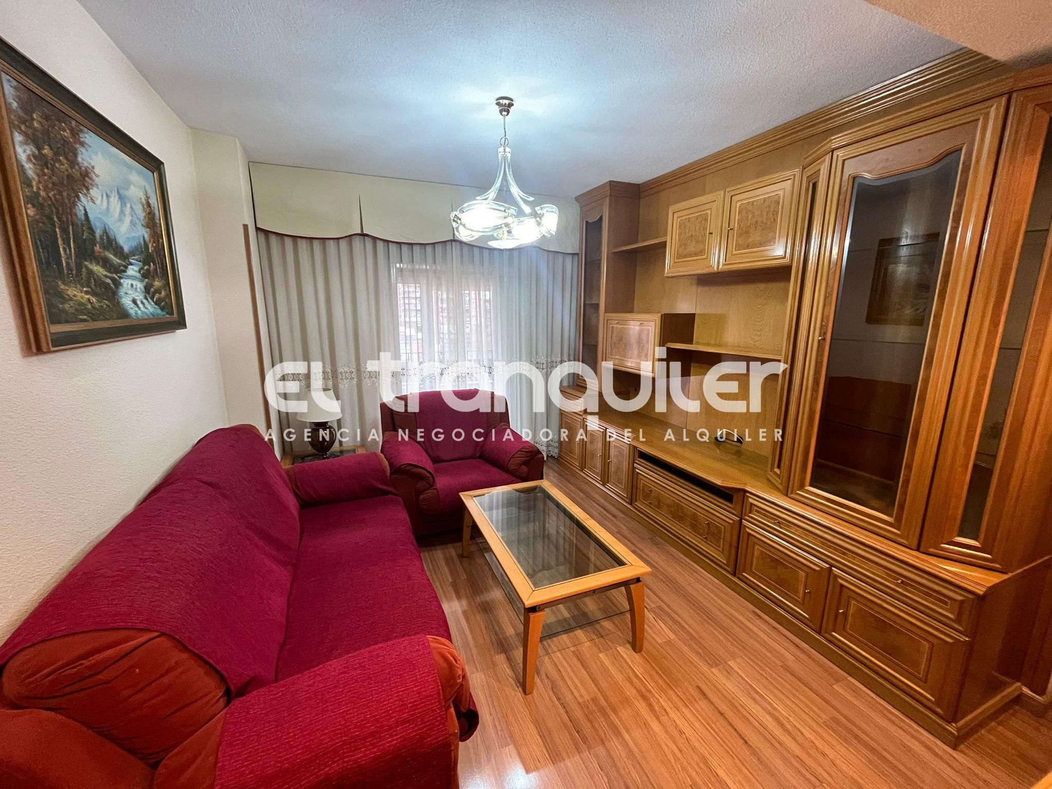 Living room of Flat to rent in  Madrid Capital  with Parquet flooring, Terrace and Furnished