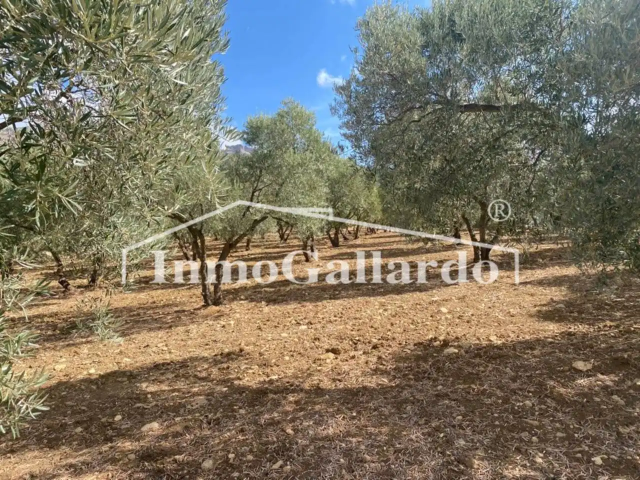 Terreni e lotti in vendita a Casarabonela, imagen 12